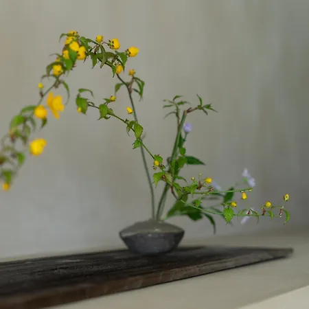 鸭半度假屋 京都 客房 照片